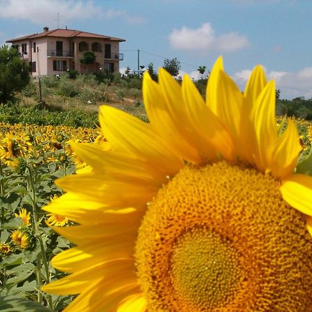 B&B Il Girasole - Rooms & House In Country - 1500 Meters From Historic Center Montepulciano Stazione מראה חיצוני תמונה