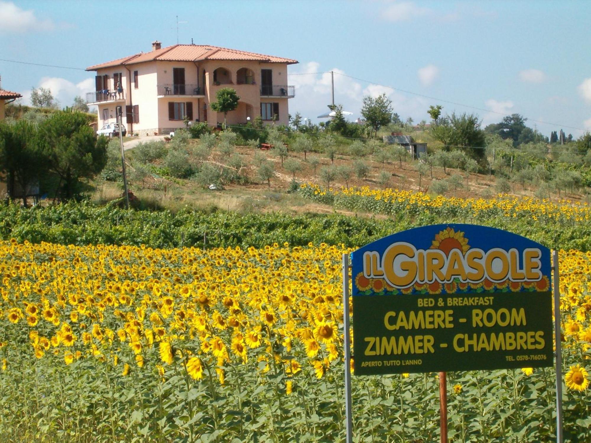 B&B Il Girasole - Rooms & House In Country - 1500 Meters From Historic Center Montepulciano Stazione מראה חיצוני תמונה