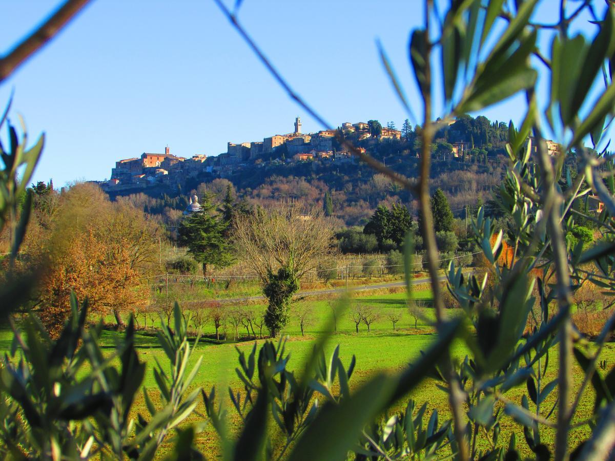B&B Il Girasole - Rooms & House In Country - 1500 Meters From Historic Center Montepulciano Stazione מראה חיצוני תמונה